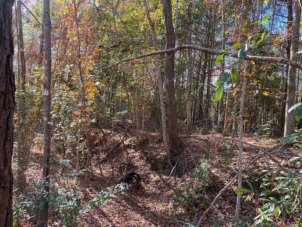 0.14 Acres of Land for Sale in Huntington, Texas