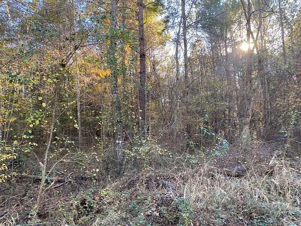 0.14 Acres of Land for Sale in Huntington, Texas