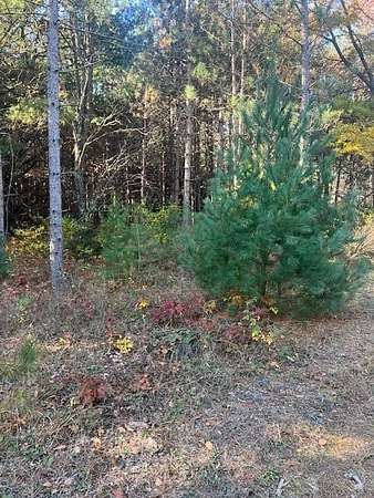 2.29 Acres of Residential Land for Sale in Big Rapids, Michigan