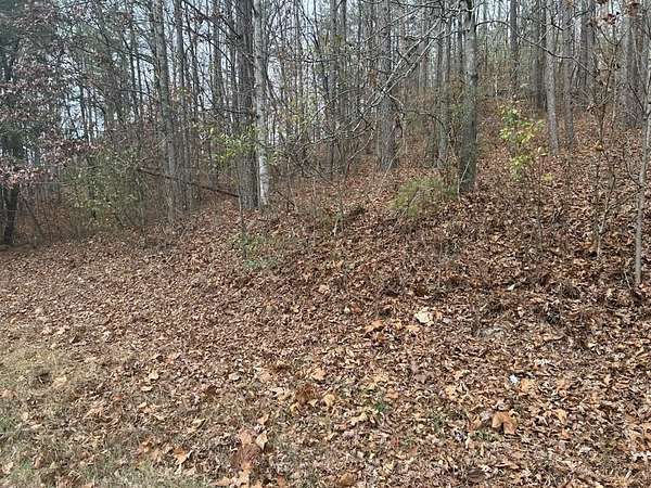 0.8 Acres of Residential Land for Sale in Tunnel Hill, Georgia