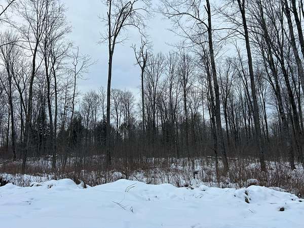 5.29 Acres of Recreational Land for Sale in Pelican Lake, Wisconsin