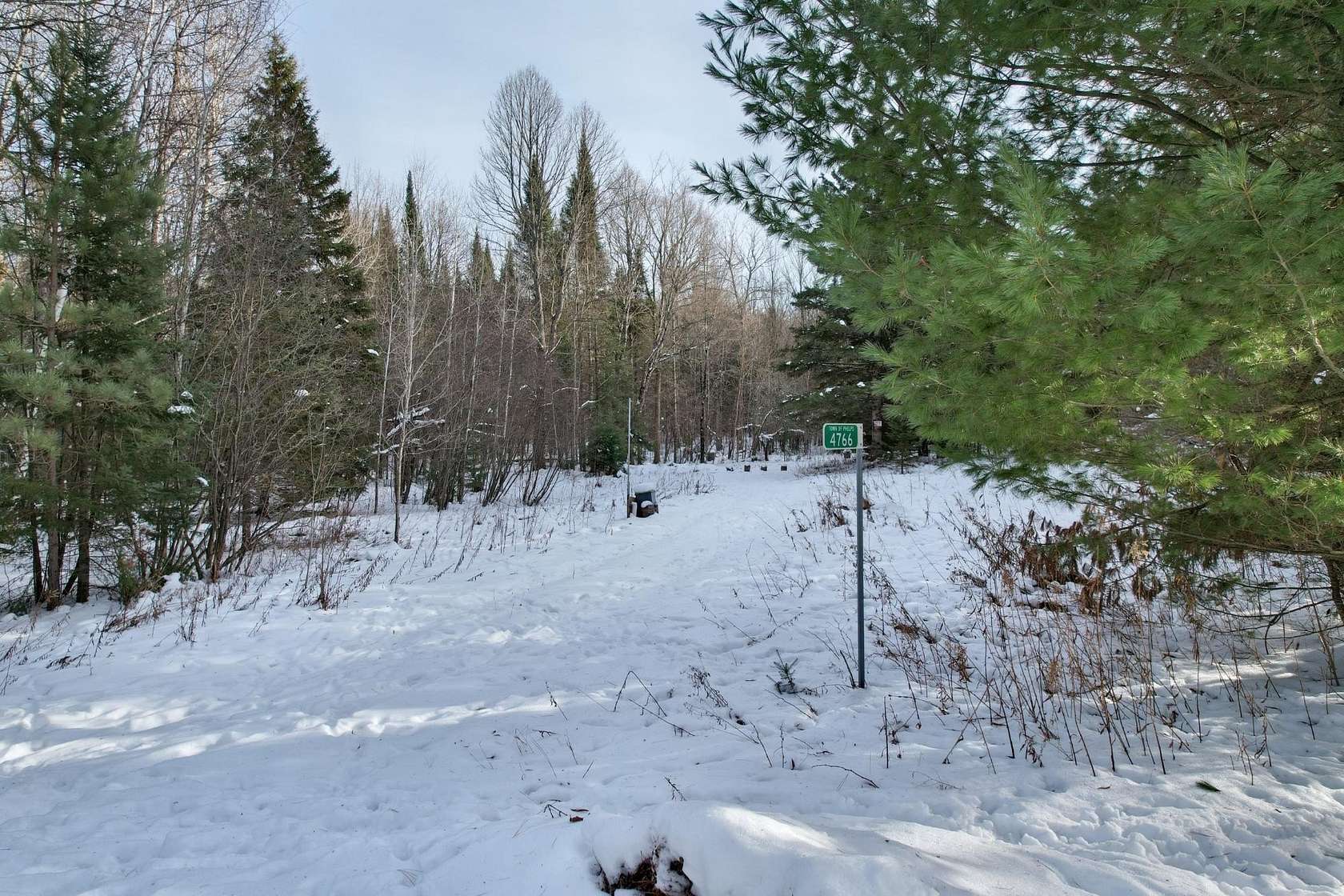 41.3 Acres of Recreational Land for Sale in Phelps, Wisconsin