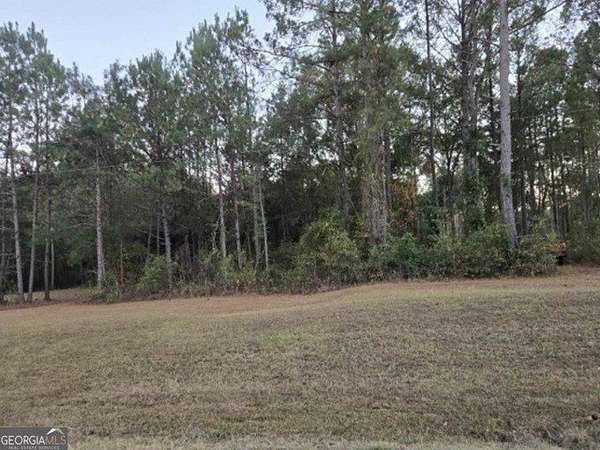6.82 Acres of Land for Sale in Boston, Georgia