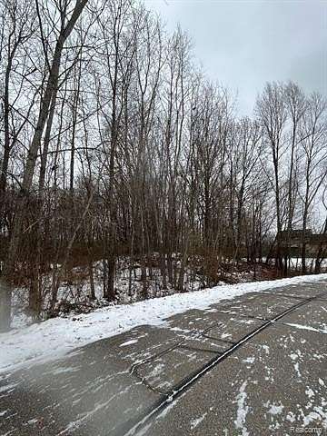 1 Acre of Residential Land for Sale in Handy Township, Michigan