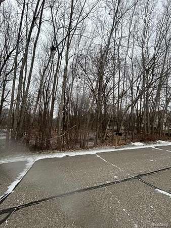 1 Acre of Residential Land for Sale in Fowlerville, Michigan
