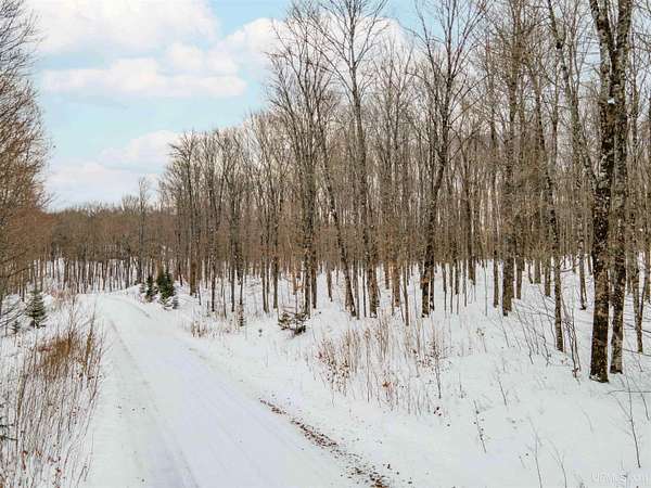 20.2 Acres of Recreational Land for Sale in Iron River, Michigan