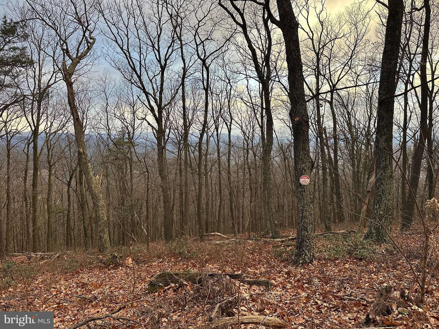 7.46 Acres of Land for Sale in Slanesville, West Virginia