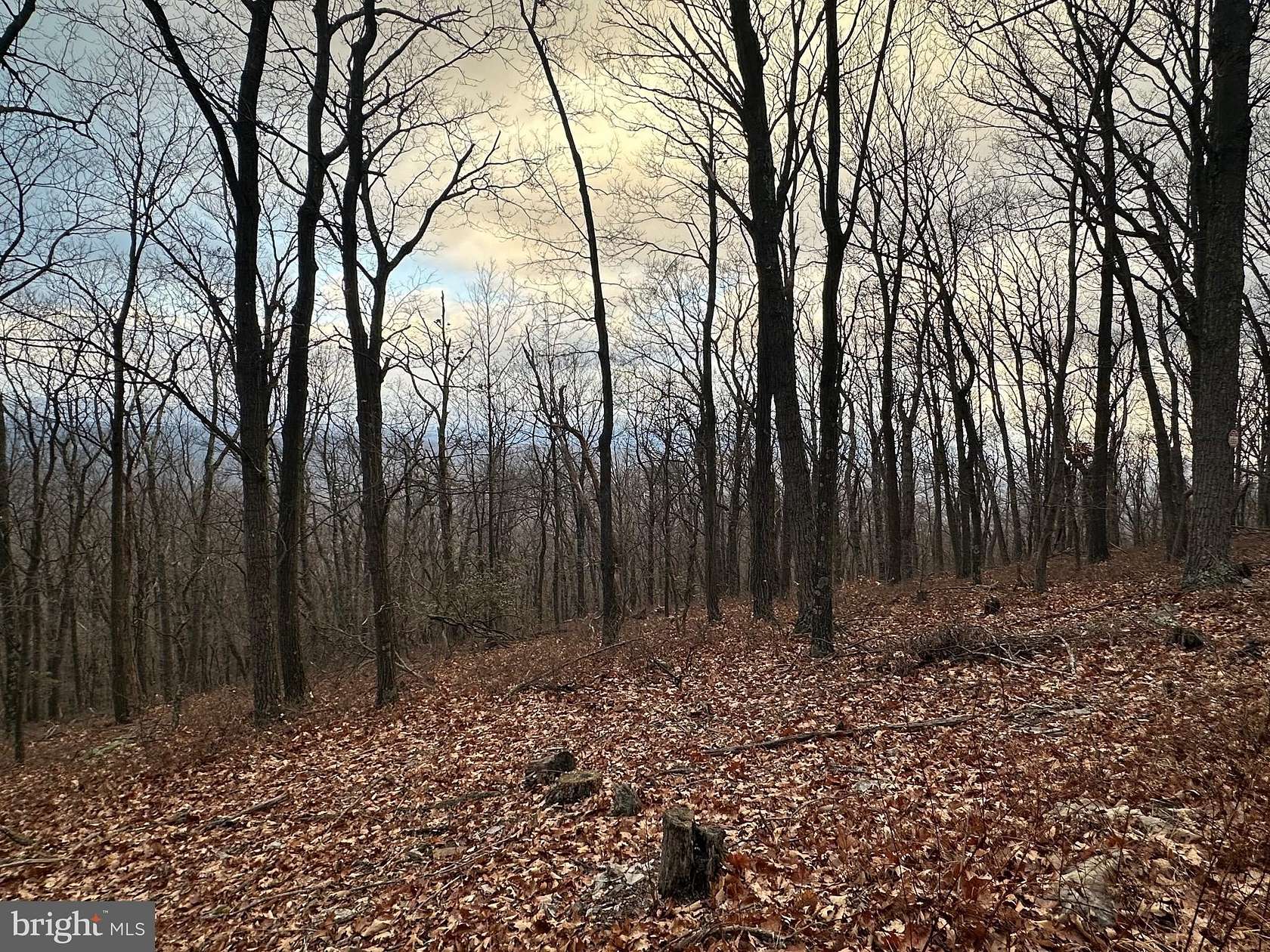 7.46 Acres of Land for Sale in Slanesville, West Virginia