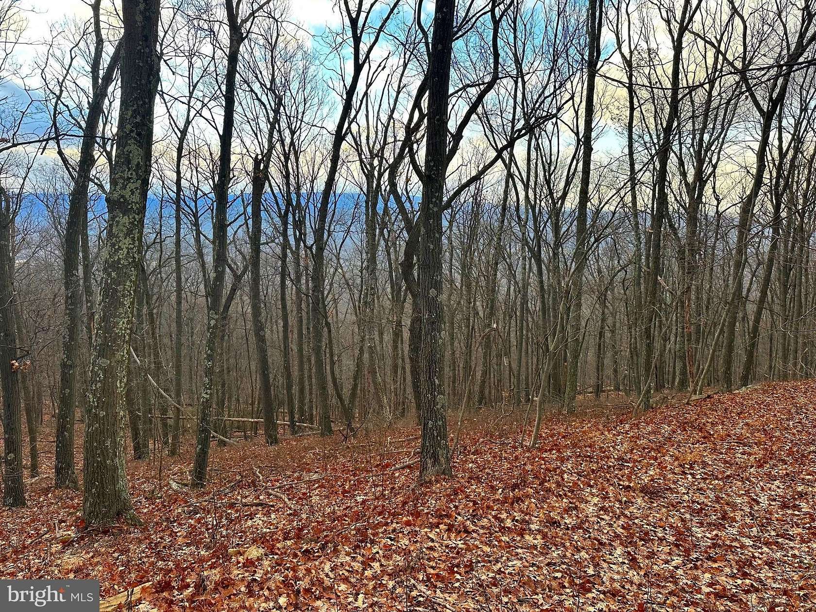 5 Acres of Land for Sale in Slanesville, West Virginia