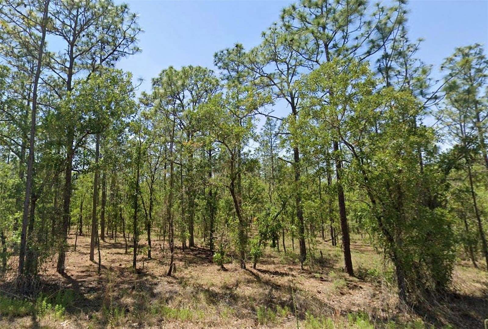 0.23 Acres of Residential Land for Sale in Dunnellon, Florida