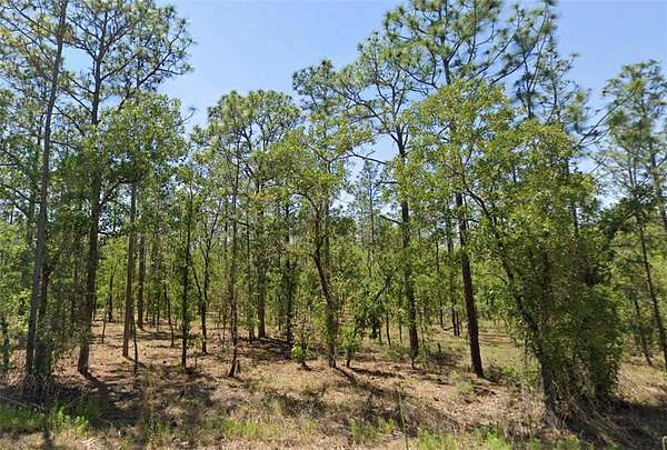 0.23 Acres of Residential Land for Sale in Dunnellon, Florida