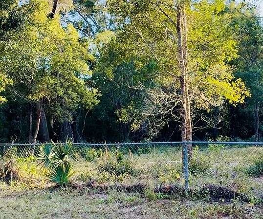 0.77 Acres of Residential Land for Sale in Brooksville, Florida