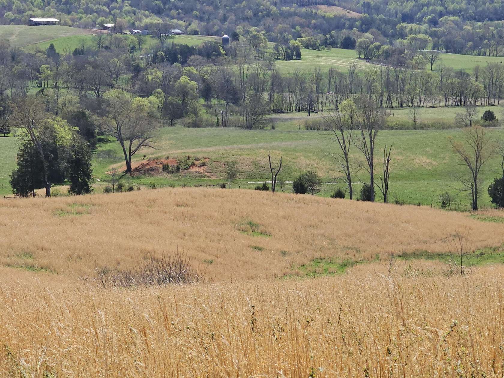 134 Acres of Agricultural Land with Home for Sale in Dunlap, Tennessee