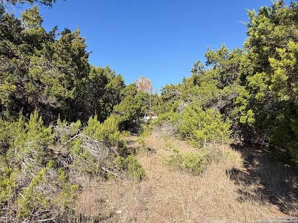 0.27 Acres of Residential Land for Sale in Canyon Lake, Texas