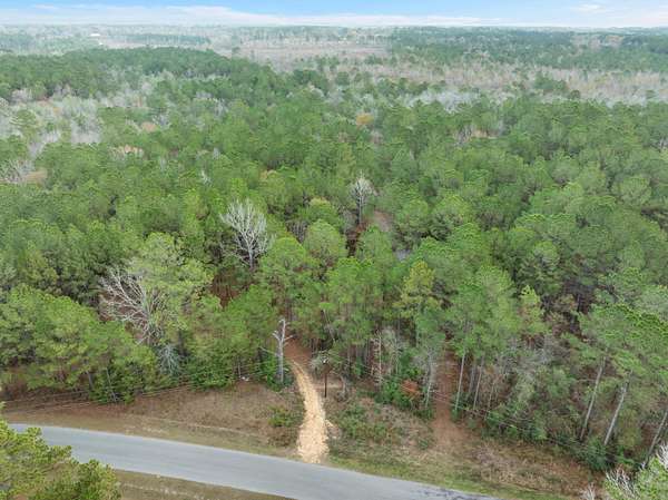 83.5 Acres of Agricultural Land for Sale in Hattiesburg, Mississippi
