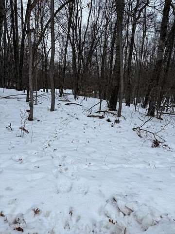 0.25 Acres of Residential Land for Sale in Stanwood, Michigan