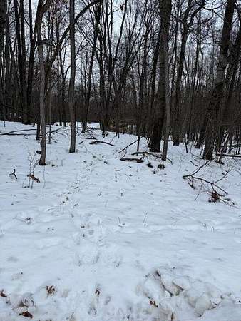 0.25 Acres of Residential Land for Sale in Stanwood, Michigan