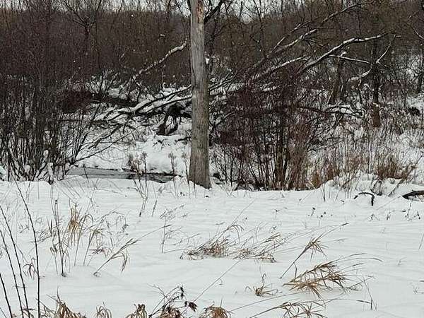 1.43 Acres of Residential Land for Sale in Reed City, Michigan