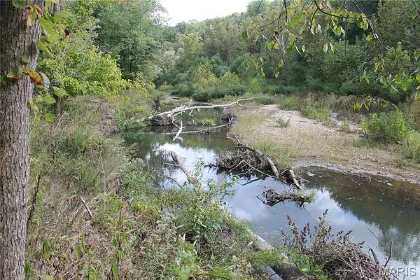 89.5 Acres of Land with Home for Sale in Montgomery City, Missouri