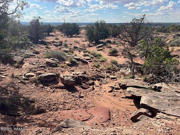 37.2 Acres of Recreational Land for Sale in Concho, Arizona