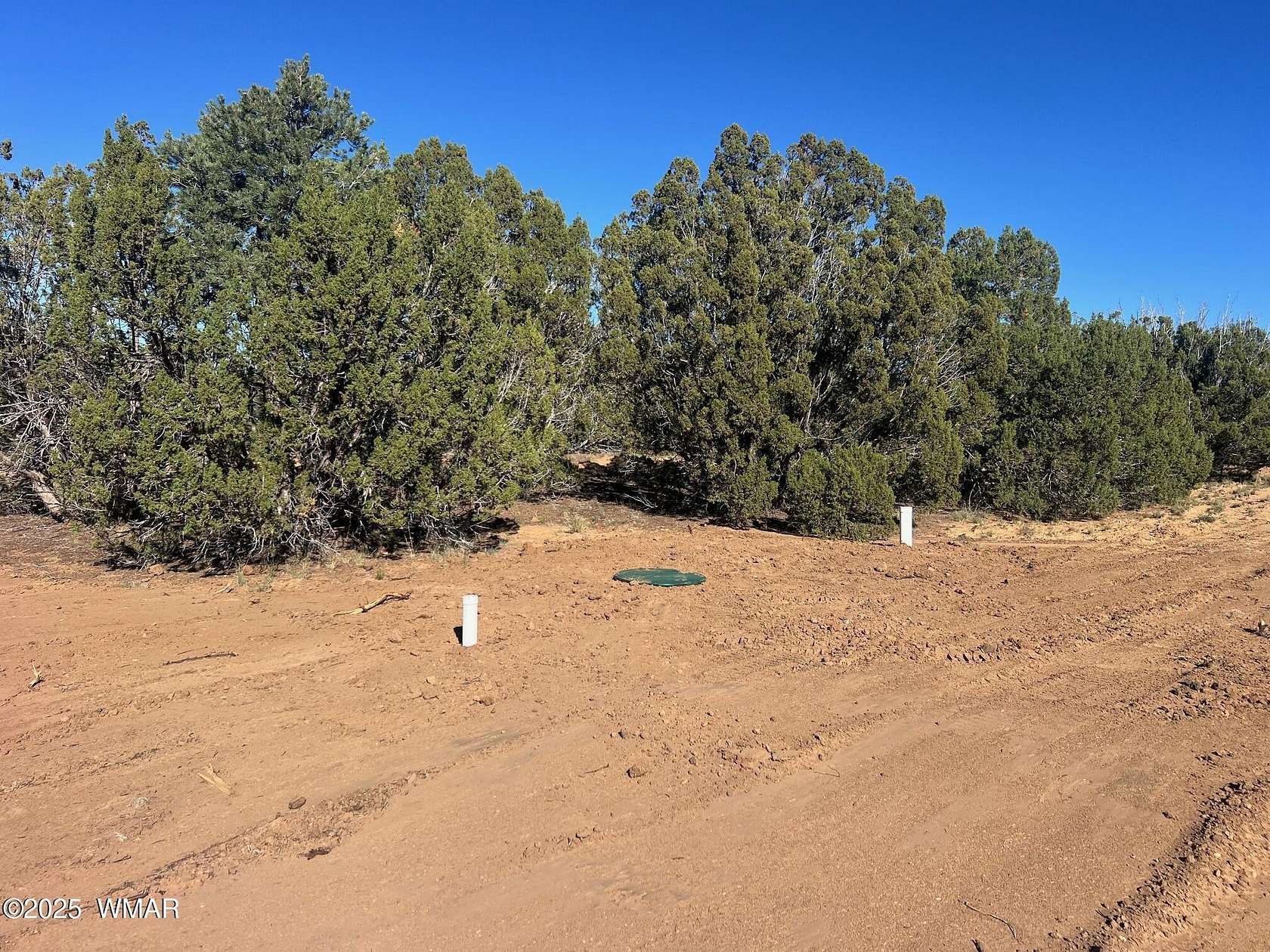 1.16 Acres of Residential Land for Sale in Concho, Arizona