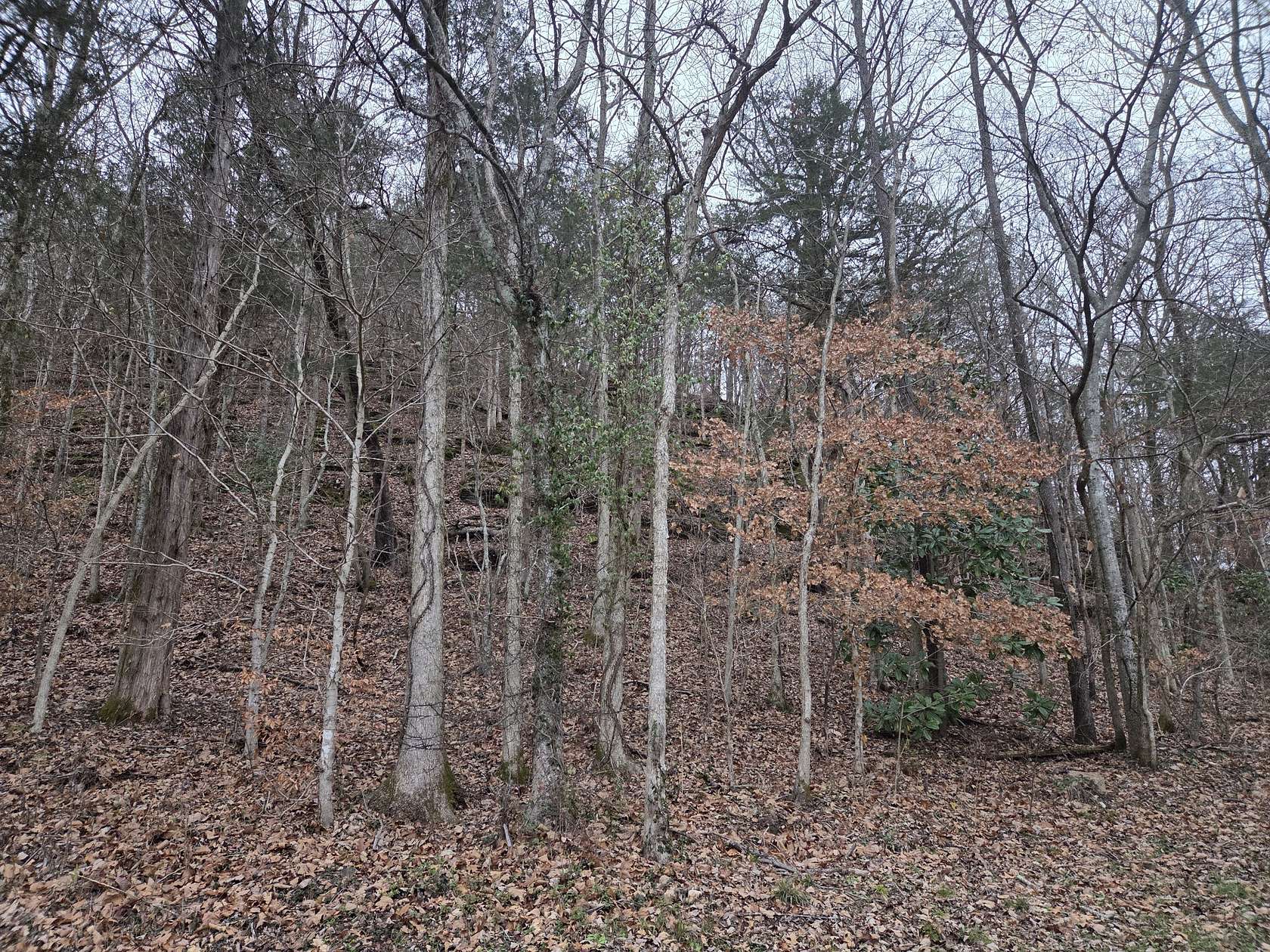 105 Acres of Recreational Land for Sale in Linden, Tennessee