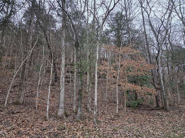 105 Acres of Recreational Land for Sale in Linden, Tennessee