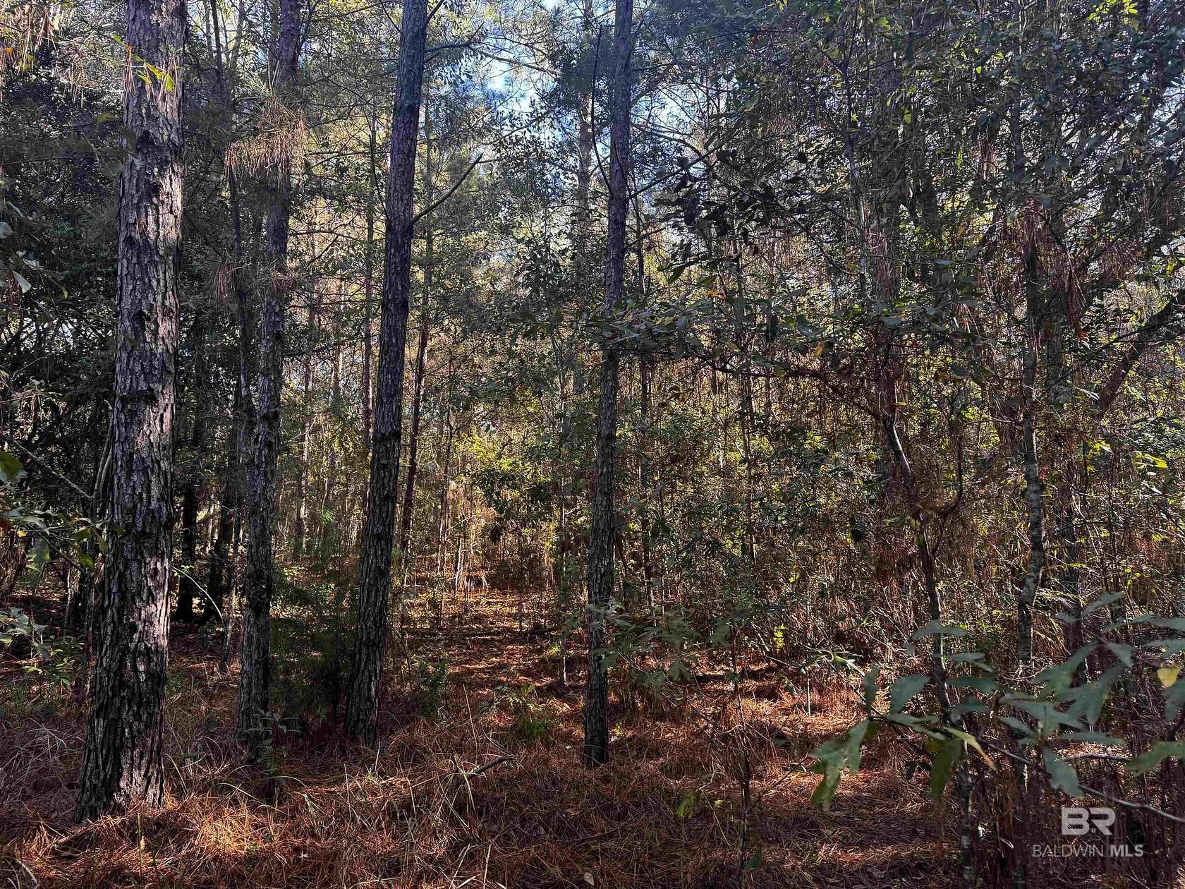 Residential Land for Sale in Theodore, Alabama