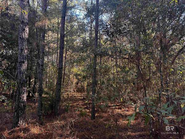 Residential Land for Sale in Theodore, Alabama