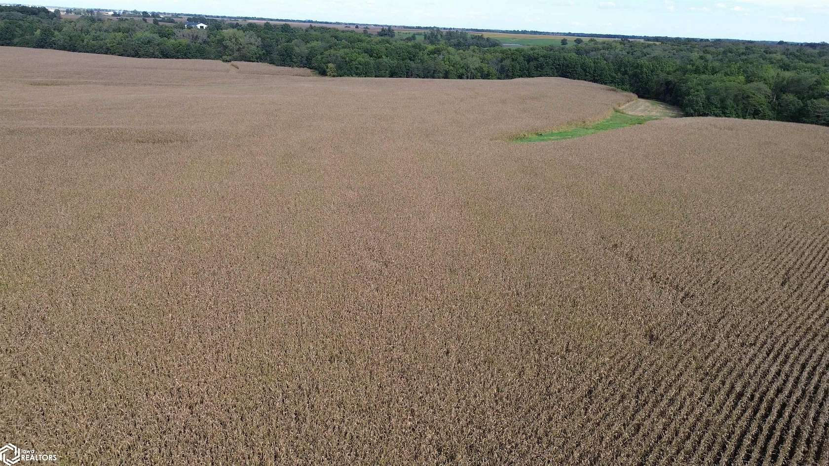 322 Acres of Recreational Land & Farm for Sale in Bloomfield, Iowa
