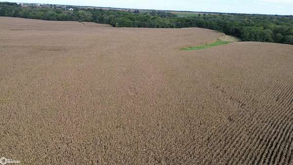 322 Acres of Recreational Land & Farm for Sale in Bloomfield, Iowa