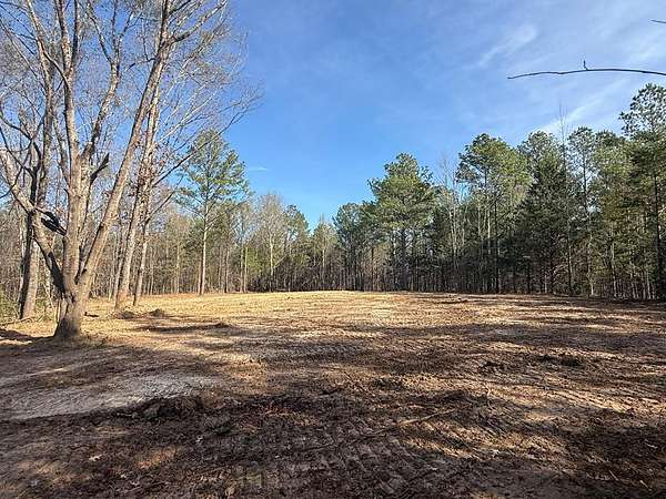 27.5 Acres of Recreational & Residential Land for Sale in Thaxton, Mississippi