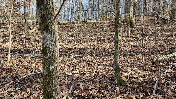 5 Acres of Residential Land for Sale in Jasper, Tennessee