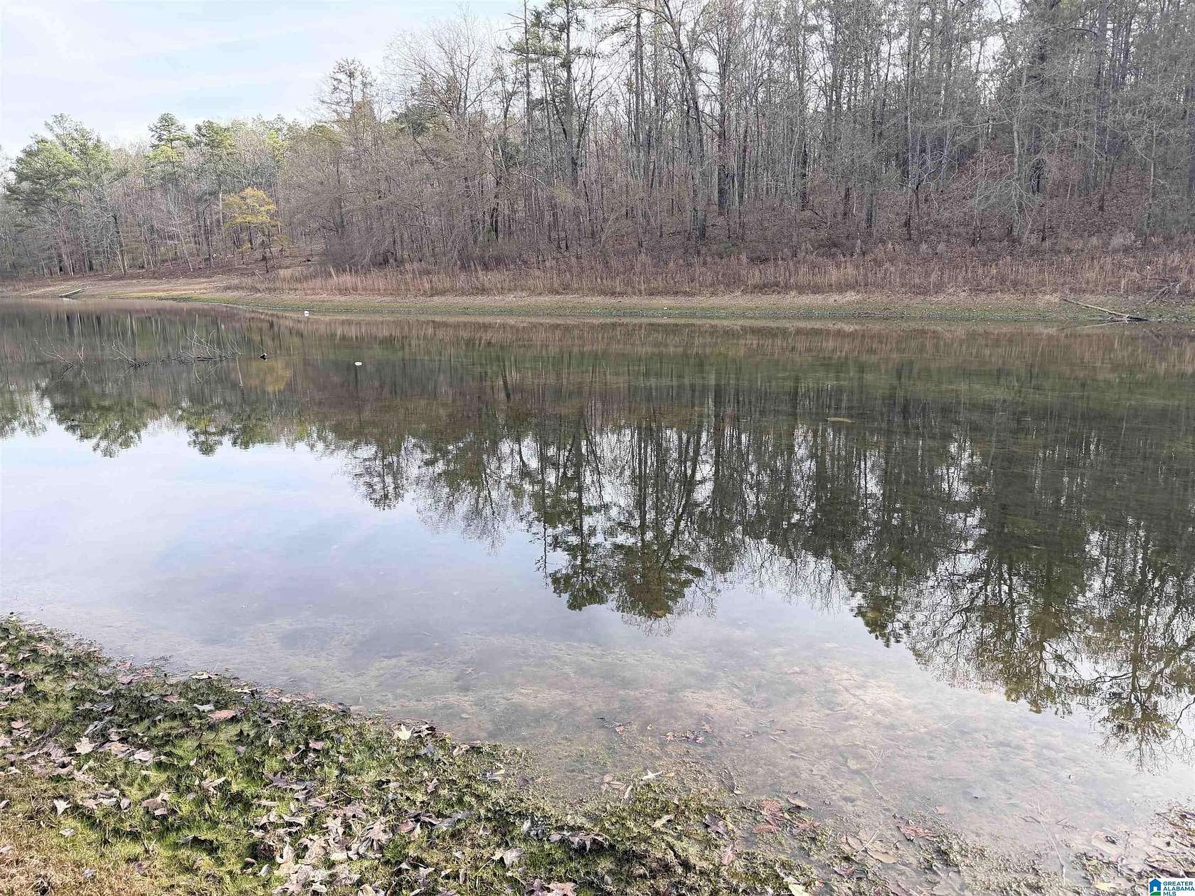 0.9 Acres of Residential Land for Sale in Alpine, Alabama