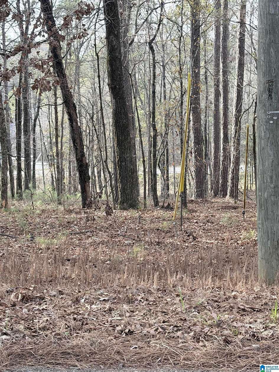 0.75 Acres of Residential Land for Sale in Alpine, Alabama