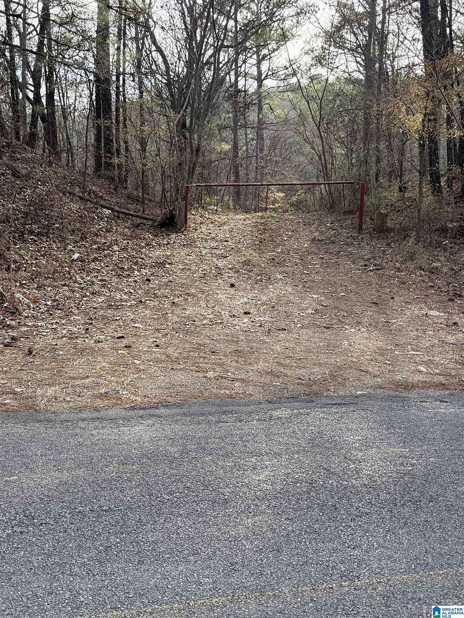 0.7 Acres of Land for Sale in Alpine, Alabama