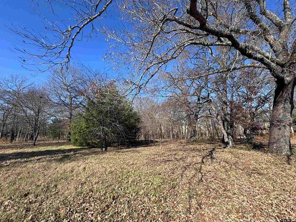 9 Acres of Land for Sale in Lindale, Texas