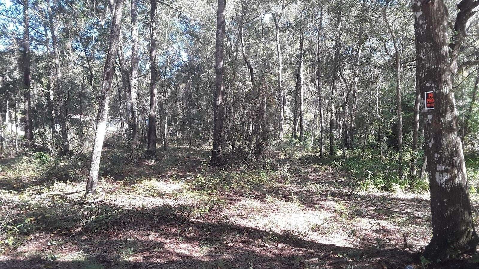 0.46 Acres of Residential Land for Sale in Dunnellon, Florida