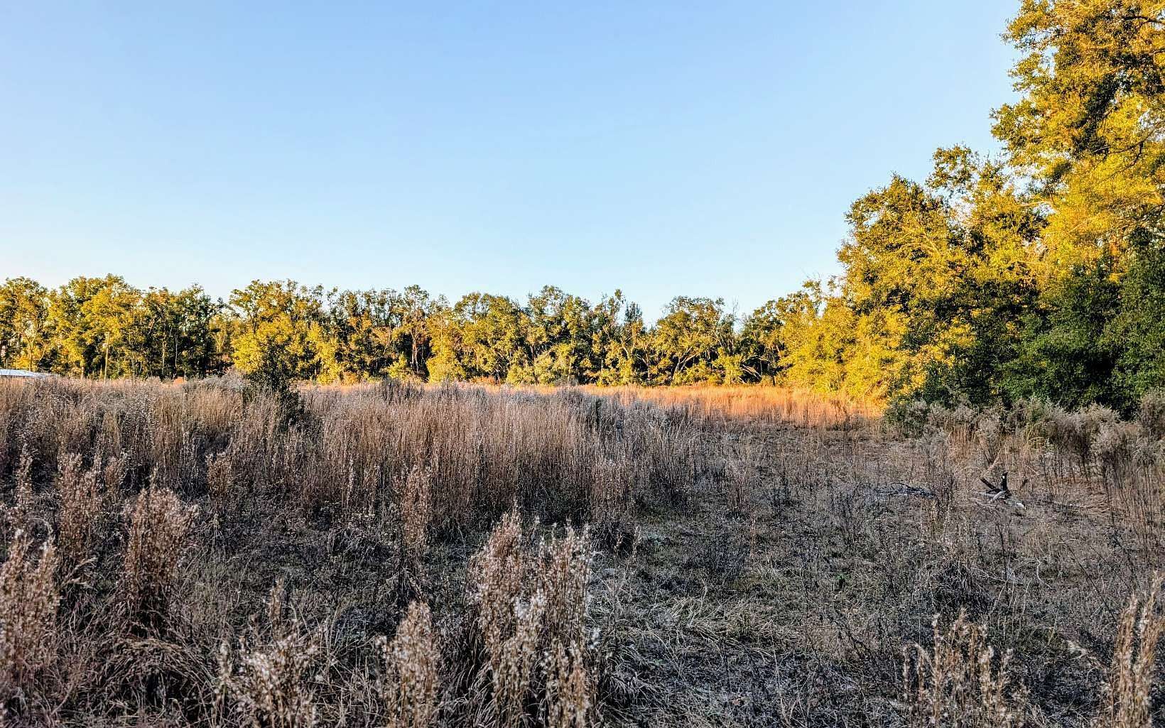 16.7 Acres of Agricultural Land for Sale in Live Oak, Florida