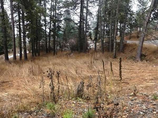 0.21 Acres of Land for Sale in Cascade, Idaho