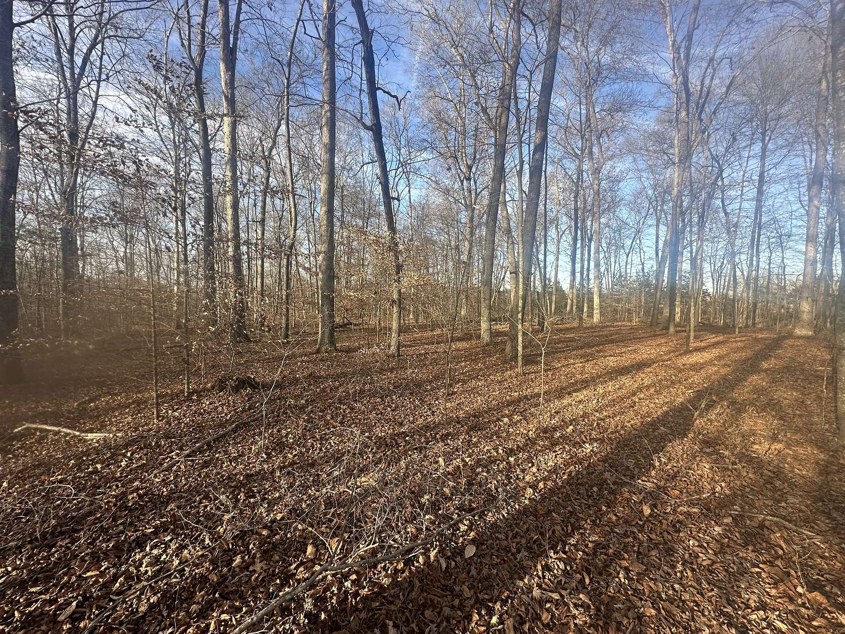 11.1 Acres of Land for Sale in Silver Point, Tennessee