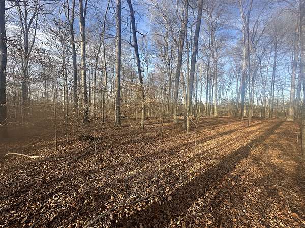11.1 Acres of Land for Sale in Silver Point, Tennessee