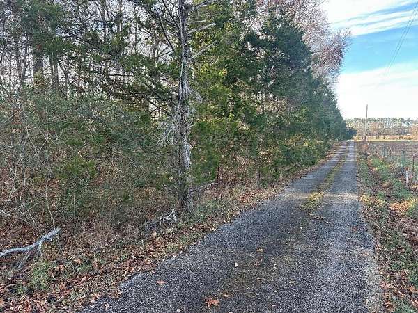 7 Acres of Residential Land for Sale in Silver Point, Tennessee