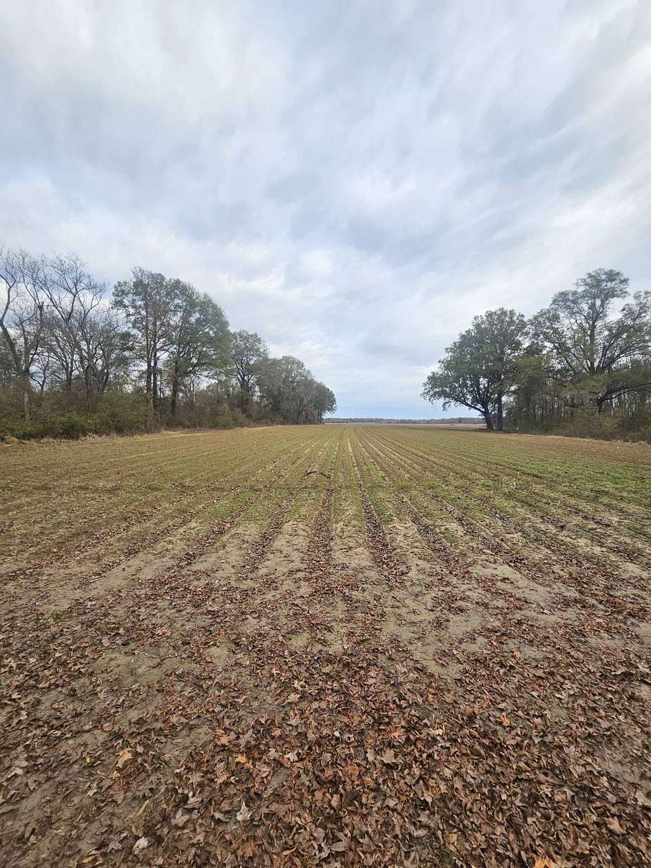 465 Acres of Recreational Land & Farm for Sale in Avalon, Mississippi