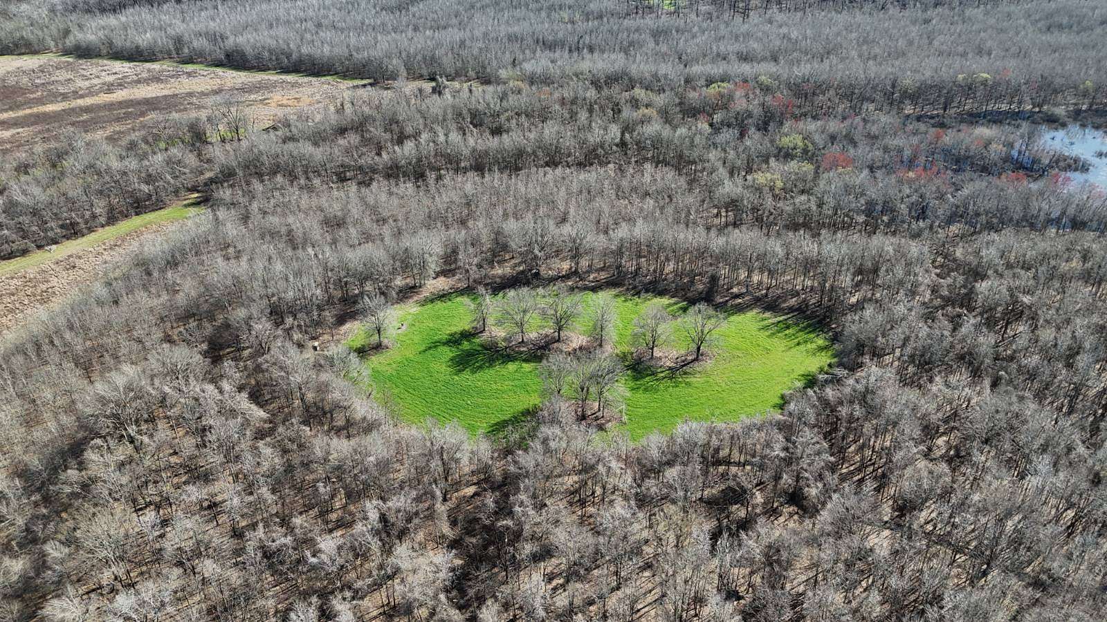 465 Acres of Land for Sale in Avalon, Mississippi