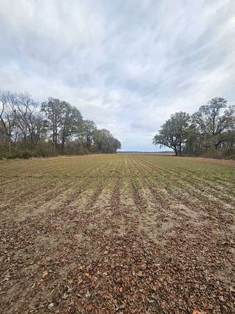 465 Acres of Recreational Land & Farm for Sale in Avalon, Mississippi