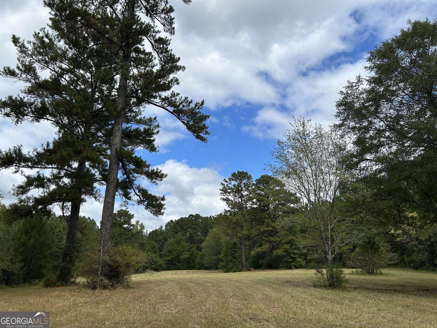 32.6 Acres of Recreational Land for Sale in Concord, Georgia