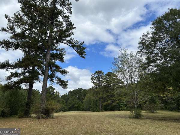 32.6 Acres of Recreational Land for Sale in Concord, Georgia