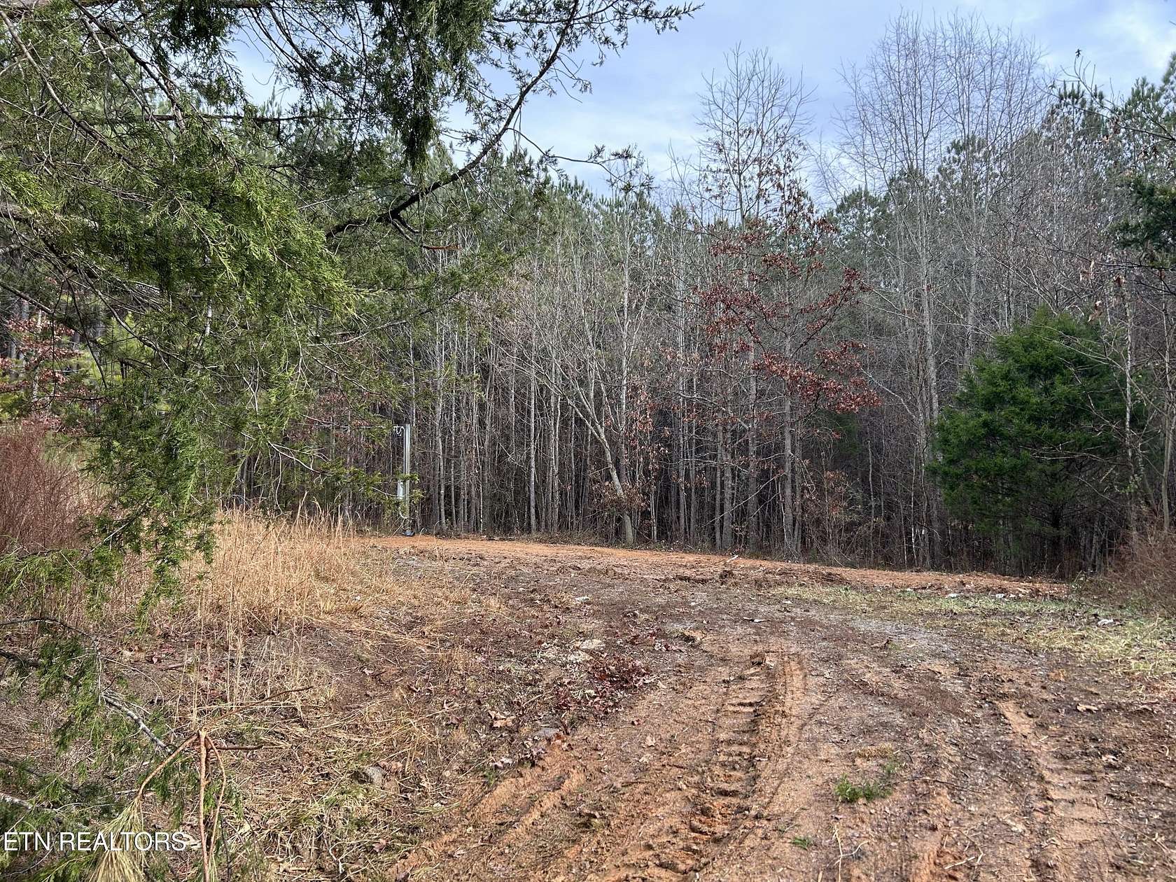 3.49 Acres of Residential Land for Sale in Niota, Tennessee