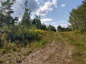 446 Acres of Land for Sale in Otis, Maine